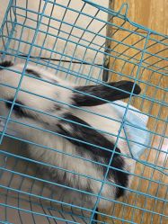 -妙妙乐儿童乐园·生日派对·班级聚会(万风新天地东楼三楼店)