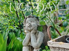 -Jo's Garden