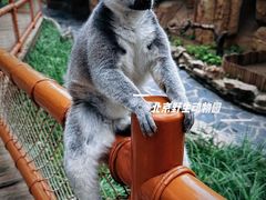 -北京野生动物园