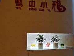-云中小雅