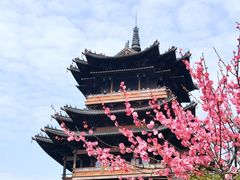 -杭州半山国家森林公园