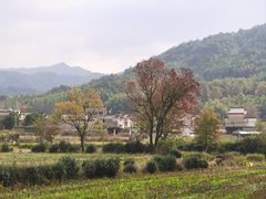 -塔川景区