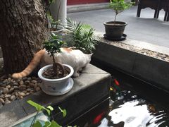 -悦真雅院·四合院·清真私房菜(雍和宫店)