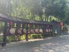 -合肥滨湖国家森林公园