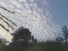 -浙西大峡谷