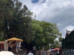 -玉湖村