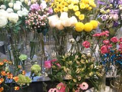 -花未央花店·WEYOUNG