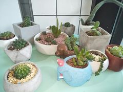 -蜜蜂小象·榴莲千层蛋糕(时代汇11栋店)