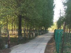 -亲兄弟真人CS团建拓展基地