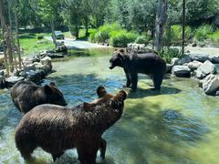 -北京野生动物园
