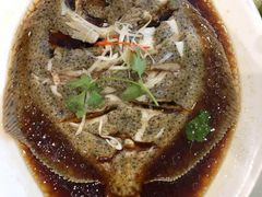 清蒸多宝鱼-双井轩(双井店)