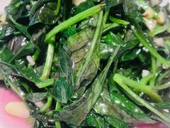-全乐鱼馆·淳牌有机鱼直营店