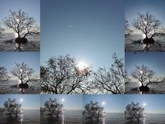 -宝安西湾红树林湿地公园