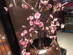 -老板恋上鱼(高新万达店)