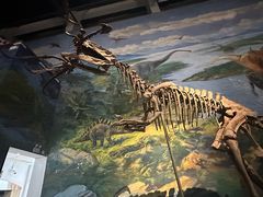 -自贡恐龙博物馆