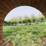 绿野仙踪，放电新去处～