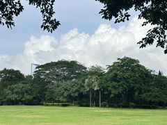 -荔香公园