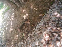 -河海大学(常州校区)