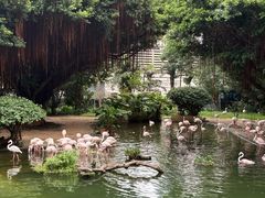 -九龙公园