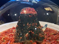 -壹盏灯(惠农店)
