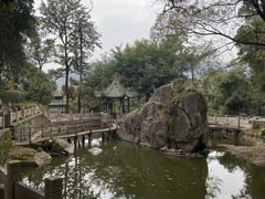 -青芝山风景名胜区