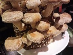 -捞王猪肚鸡火锅(财富中心店)