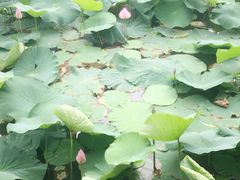 -上海市龙华烈士陵园