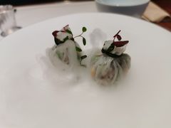 -觀芷隐轩
