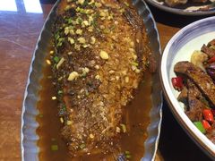 -95号酱骨·一块豆腐(展春园西路店)