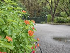 -上海怡沁园度假酒店