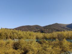 -陶祖圣境风景区