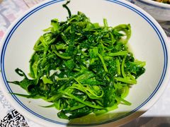 -壹盏灯(惠农店)
