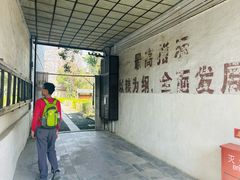 -枫泾古镇-人民公社旧址