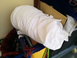 -苏州大学附属儿童医院(景德路院区)