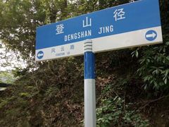 -风云岭森林公园
