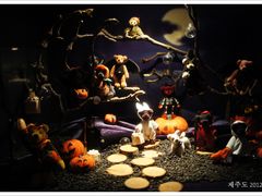 -济州岛泰迪熊博物馆