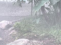 -厦门园林博览苑