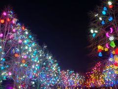 -长春世界雕塑园