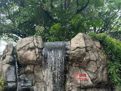-九龙公园