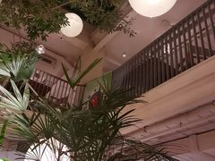 -馋嘴猫北京食堂·烤鸭·宵夜(亚运村店)