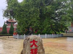 -大槐树寻根祭祖园