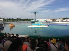 -秦皇岛乐岛海洋王国