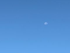 -河州春清真西北特色美食(虎踞路店)