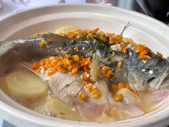 -樽宴酒楼·地道川菜·品质宴请