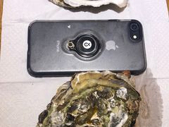 -烧蠔帮·生蚝海鲜牌档(观海店)