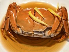 -寻宝记绍兴菜(状元店)
