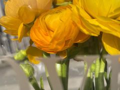 -循礼门鲜花花市(武汉循礼门店)