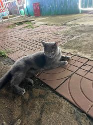 -白沙门公园游乐场