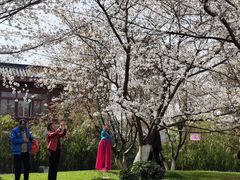 -堤角公园