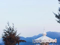 -花海间·即刻露营